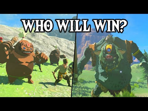 Monster Control Crew VS HINOX! | Zelda: Tears of the Kingdom