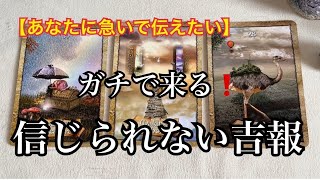 【緊急予報⚡️】あなたに急いで伝えたい✨ガチで来る❗️信じられない✨吉報🏇【ルノルマンカードリーディング占い】恐ろしいほど当たる😱