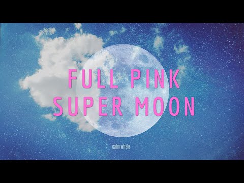 Full Pink Super Moon Global Deep Meditation 2020 🌌  Powerful Energy Shift : Slow Shaman Drum