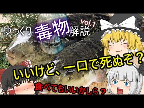 ゆっくり毒物vol.１~ふぐ毒~【ゆっくり解説】