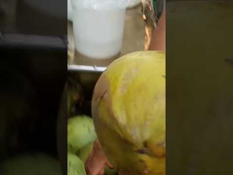 cutting  coconut for fresh coconut water #freshcoconutwater #cuttingskills #youtubeshorts #Gatchie