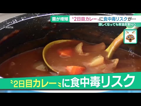 秋でも「2日目カレー」は食中毒リスク　シチューや煮物も要注意　涼しくなっても常温放置NG (24/11/14 15:01)