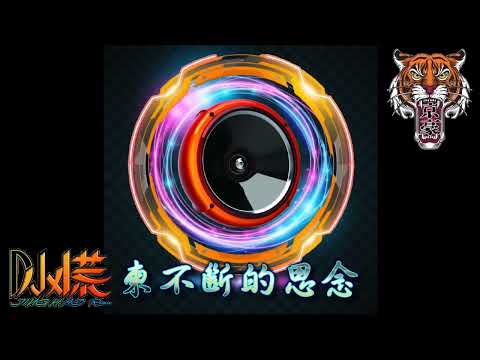 Dj小慌-沒你的城市「在這個沒你的城市　心肝內想的人全是你」(Remix)