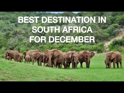 Best South African Destinations for family or girlfriend this December (2024)