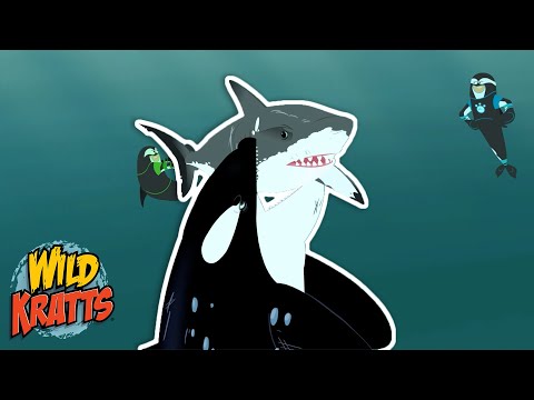 Creature Battles! | Every Creature Showdown Part 23 | New Compilation | Wild Kratts