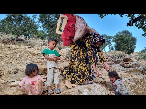 A nomadic woman's migration to the mountains: A nomadic woman's life in a cave with her children