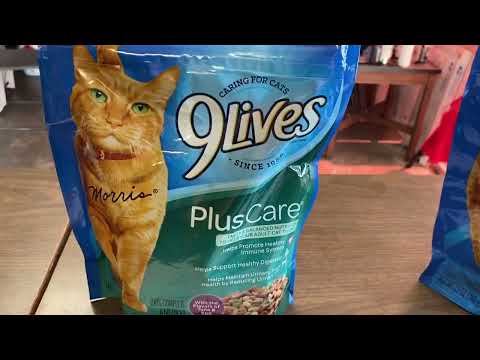 Price Comparison 9 Lives Dry Cat Food at Dollar Tree vs Family Dollar 🐈‍⬛ where’s the better buy?