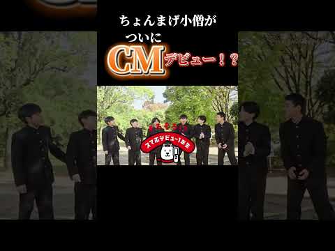 ちょんまげ小僧がCMデビュー！？　　#shorts  #ちょんまげ小僧