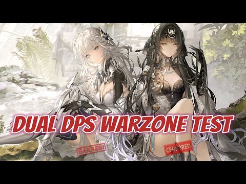 DUAL DPS IN 1 TEAM WARZONE TEST || PUNISHING GRAY RAVEN