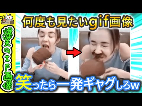 【笑ったら一発ギャグ‼】爆笑・ハプニング・かわいいgif画像集♪