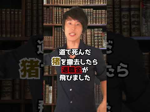 判例：鳥取県の公務員が猪の死骸をどかそうとしたら退職金900万円が消えた 　#Shorts