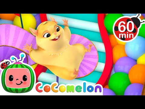 Hamster vs Maze 🐹 Hamster's Great Escape! 🐹 + MORE CoComelon Nursery Rhymes & Kids Songs