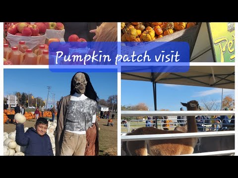 We are going to pumpkin patch #pumpkin #pumpkinpatch #farmvisit #lifeincanada