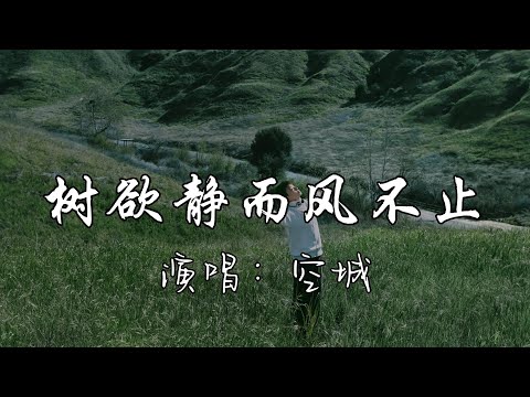 空城 - 树欲静而风不止『曾经的你是我意难平的例外，可你一副舍不得的样子，仿佛我曾是你的偏爱。』『动态歌词MV』