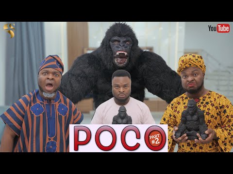 AFRICAN HOME: POCO THE GORILLA (PART 2)