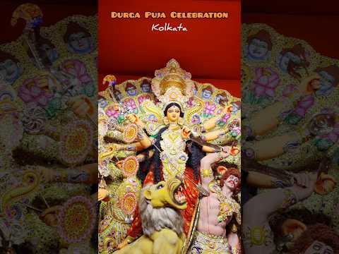 Durga Puja Celebration 2024 #kolkata #durgapuja #durgapuja2024 #shorts