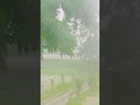 Cloud burst rainfall #cloudbrust #rainfall #heavyrain #dangerous #amazing