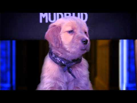 Spooky Buddies: The Curse of the Howlloween Hound Movie Official Trailer 2011 HD