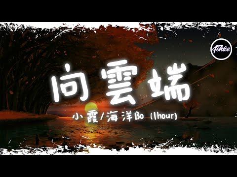 小霞/海洋Bo - 向雲端【一小時版本】「向雲端 山那邊 海裏面，真實的我應該走向哪邊」【動態歌詞】♪