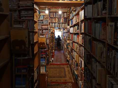 📍Armchair Books - Best Book shop in Edinburgh #edinburgh 📚🏴󠁧󠁢󠁳󠁣󠁴󠁿