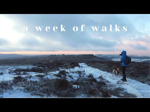 A Week of Walks with Oslo