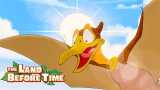 Best of Petrie! 🪶 | The Land Before Time | 1 Hour of Full Episodes