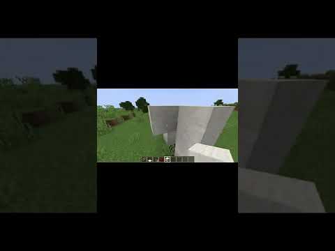 How to make a invisible door in minecraft