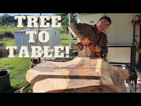 Making a table from one of our trees! 😊 Trellising, fruit & frog hammocks 😉