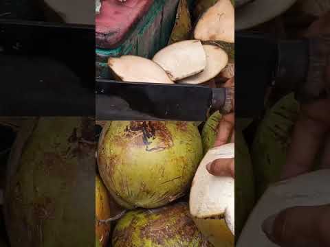 Fantastic coconut cutting to had fresh buko juice Asmr #satisfying #bukojuice #streetfood #Gatchie