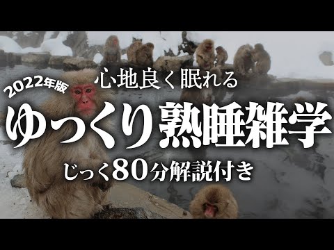 【睡眠用 雑学】ゆっくり熟睡雑学【リラックス】ゆっくりと良質な眠りにするために雑学をまとめました♪