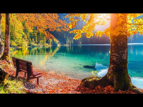 Relaxing music heals the heart and nervous system 🌿 Soothing music relieves stress