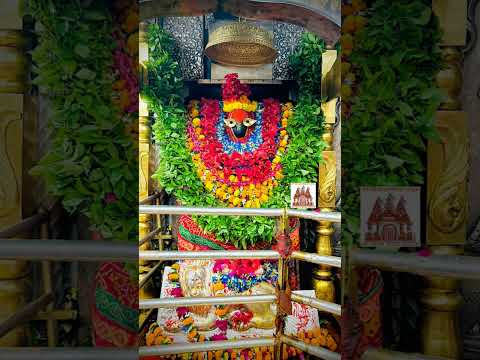 Vindhyachal Mata Darshan 🙏  #vindhyachal #vindhyachaltemple #matarani #mata #youtubeshorts #shorts