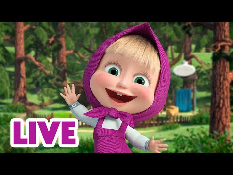 🔴 EN VIVO Masha y el Oso Castellano 👧 Con Masha no te aburrirás 🤪 Masha and the Bear