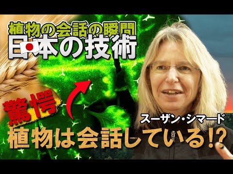 木は会話している！木々は危険を知らせ合ったり、栄養を分け合ったりして助け合っているのです。