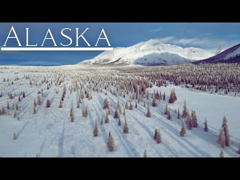 Alaska's Frozen Wonder | 7-Minutes of Stunning Nature and Relaxing Music