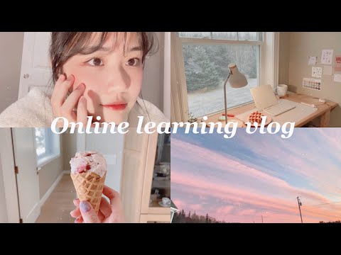 vlog# 14 加拿大高中生網課日常！暴風雪停電？！online school vlog //titibettyy