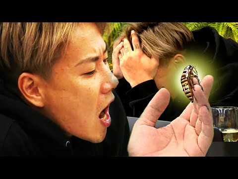 Edible cockroaches are actually delicious?! [RepezenFoxx Shorts]