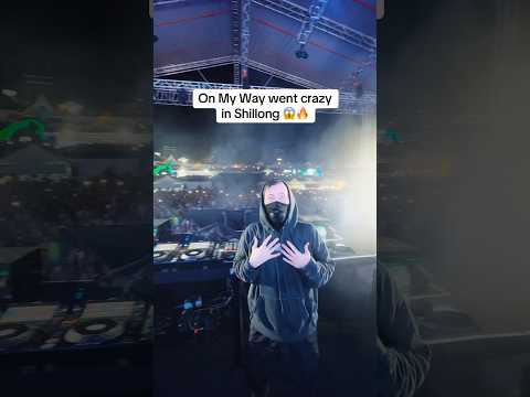 They went CRAZY for this! 🔥 #AlanWalker #Dj #Music