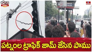 పట్నంల ట్రాఫిక్ జామ్ జేసిన పాము | Big snake spotted in Himayat Nagar Hyderabad  | Jordar Varthalu