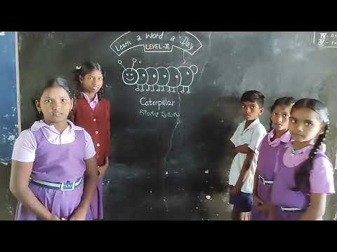 Learn a word a Day: CATERPILLAR- గొంగళిపురుగు, Ptd by BIKKI SREENIVASULU,Kalyandurg (M), Anantapur