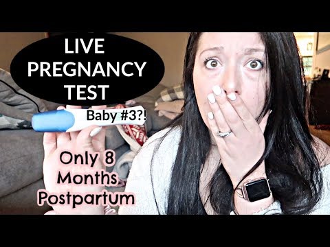 Pregnancy Test AGAIN