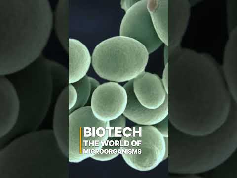 Biotech: The World of Microorganisms #shorts #trailer