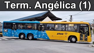 Angélica (1) - Ônibus urbano em movimentação no terminal em Araucária - Paraná URBS