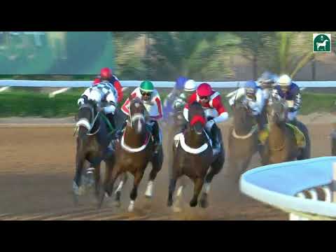 RIYADH RACING SEASON MEETING NO 51 RACE NO 4