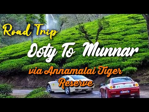 Road Trip from Ooty to Munnar via Annamalai Tiger Reserve