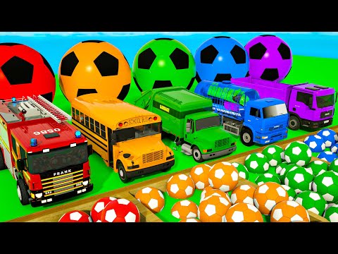 Bingo Song + Finger Family Songs - Soccer ball shaped wheels - Baby Nursery Rhymes & Kids Songs