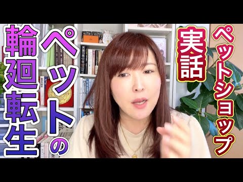 【実話】ペットの輪廻転生と動物の気持ちが分かるアニマルコミュニケーターの鑑定を受けた話