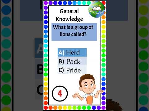 General Knowledge quiz | GK questions and answers | Trivia Questions | GK Quiz | GK Questions #short