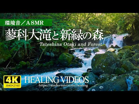 [Environmental sound / ASMR] Scenic spots in Japan / Tateshina Otaki and fresh green forest