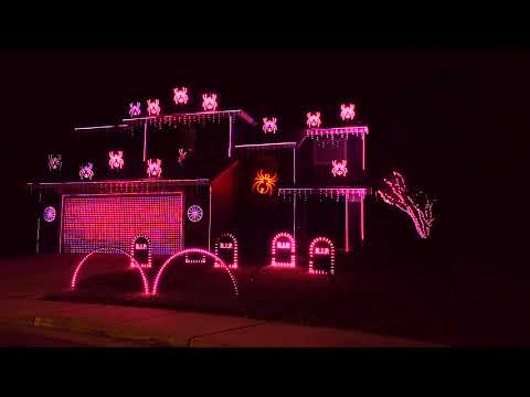 Stranger Things Theme Halloween Light Show 2019